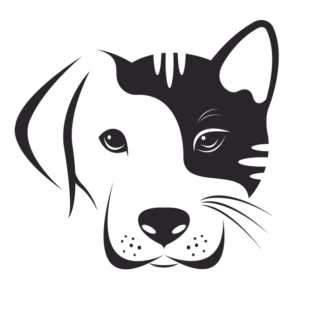 Image link