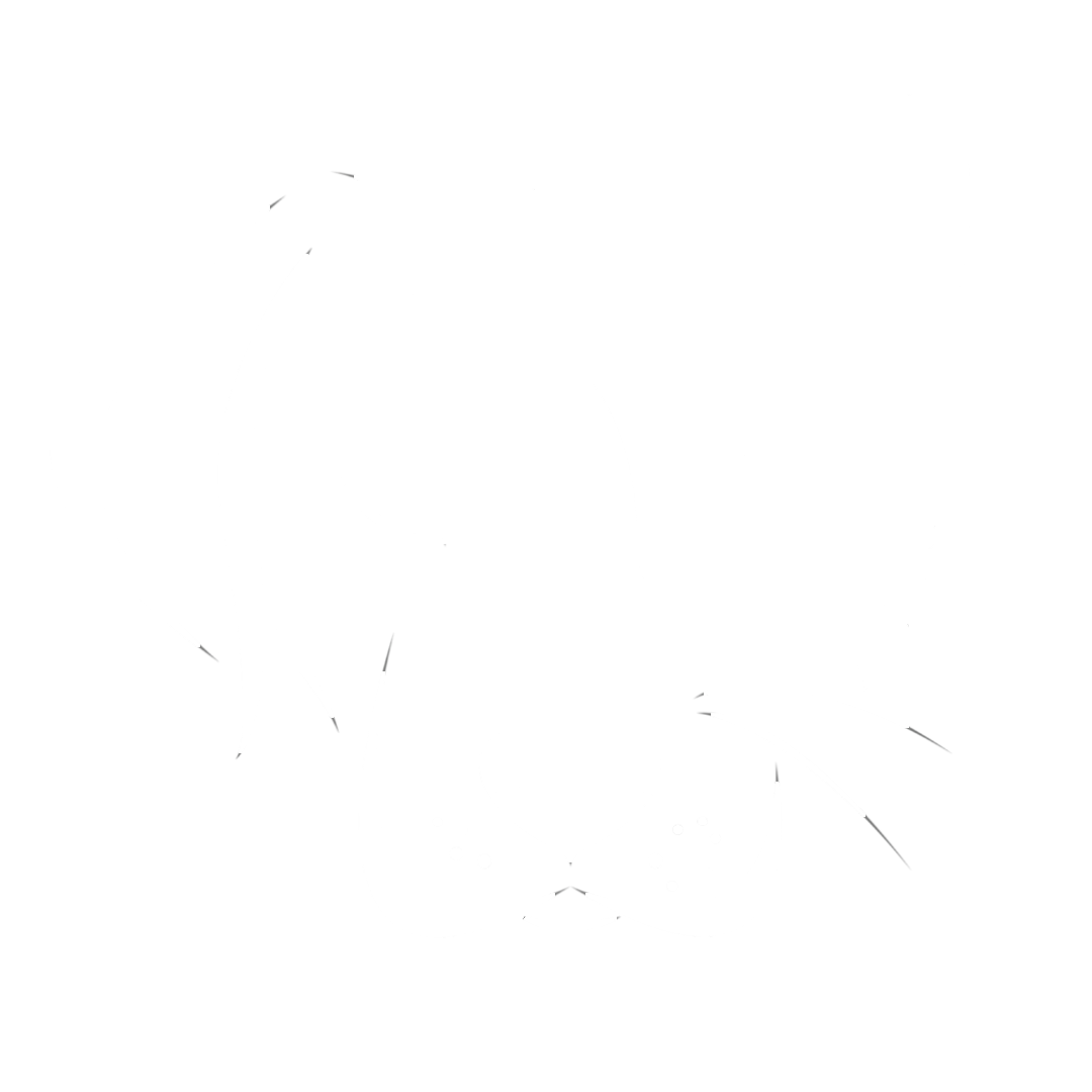 Image link