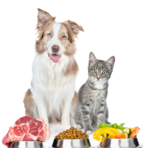 Alimentação
