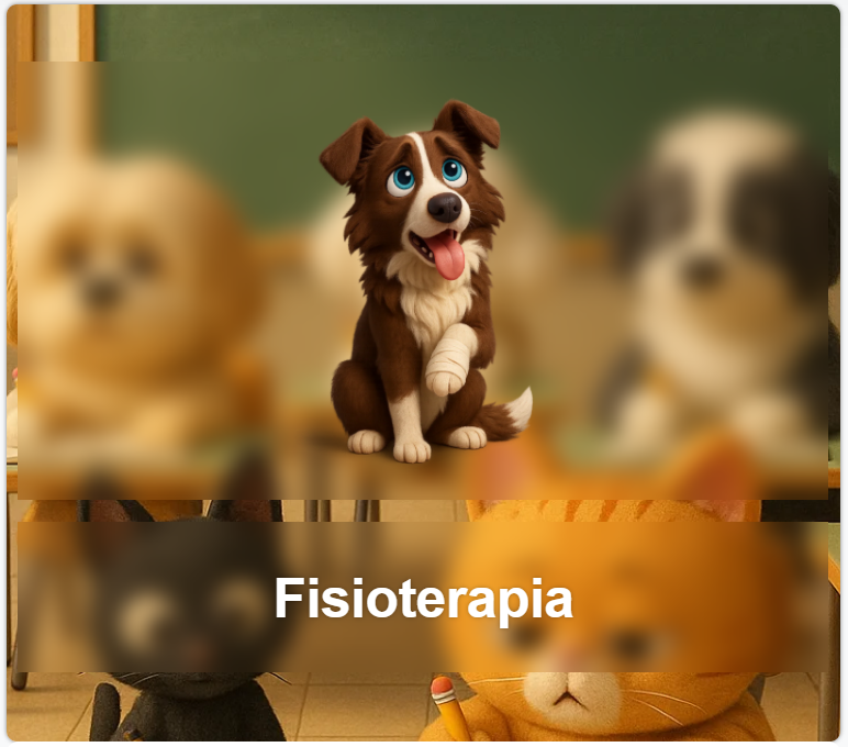 Fisioterapia