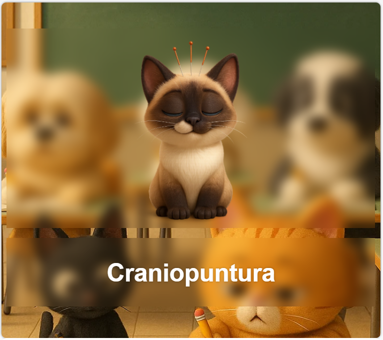 Craniopuntura
