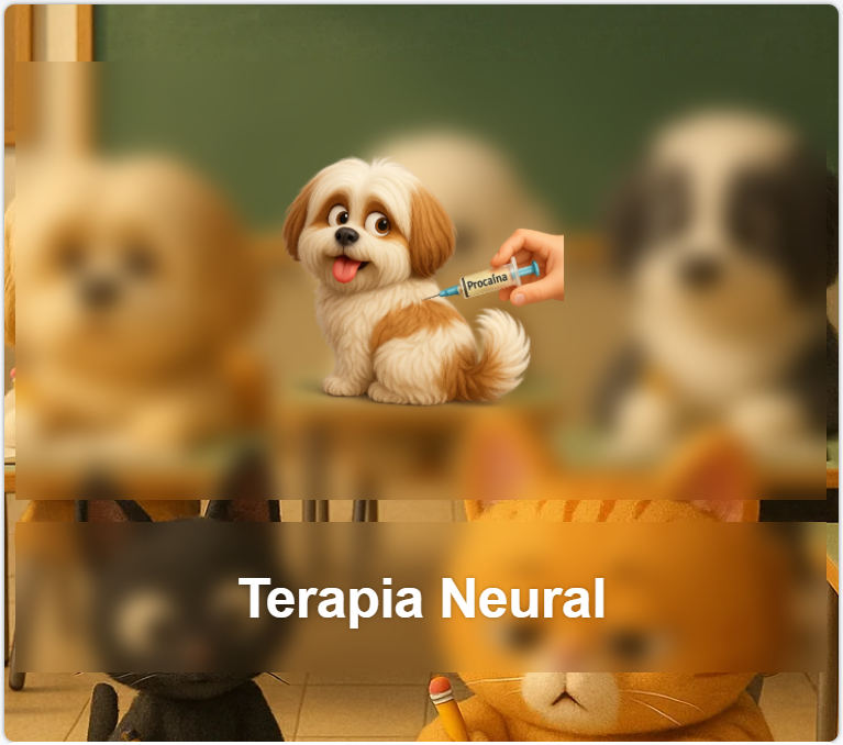 Terapia Neural