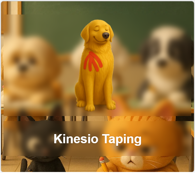 Kinesio Taping