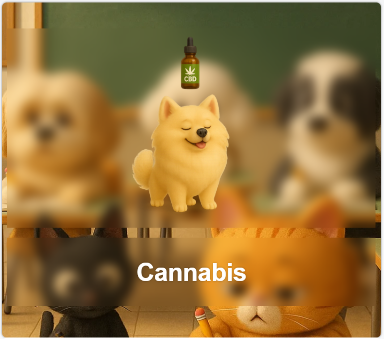 Cannabis