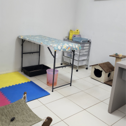 Sala2